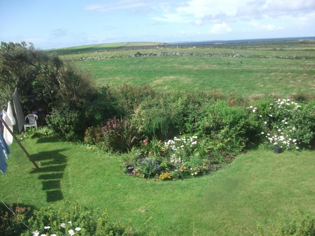 Fuchsia House Bed And Breakfast Connemara Renvyle Εξωτερικό φωτογραφία