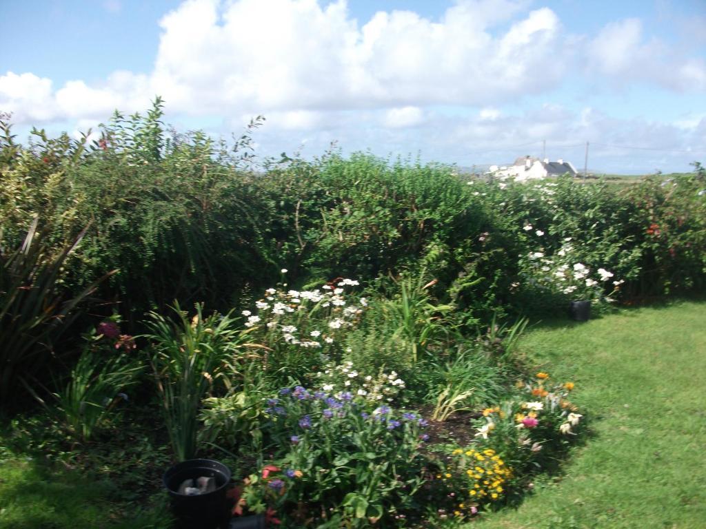 Fuchsia House Bed And Breakfast Connemara Renvyle Εξωτερικό φωτογραφία